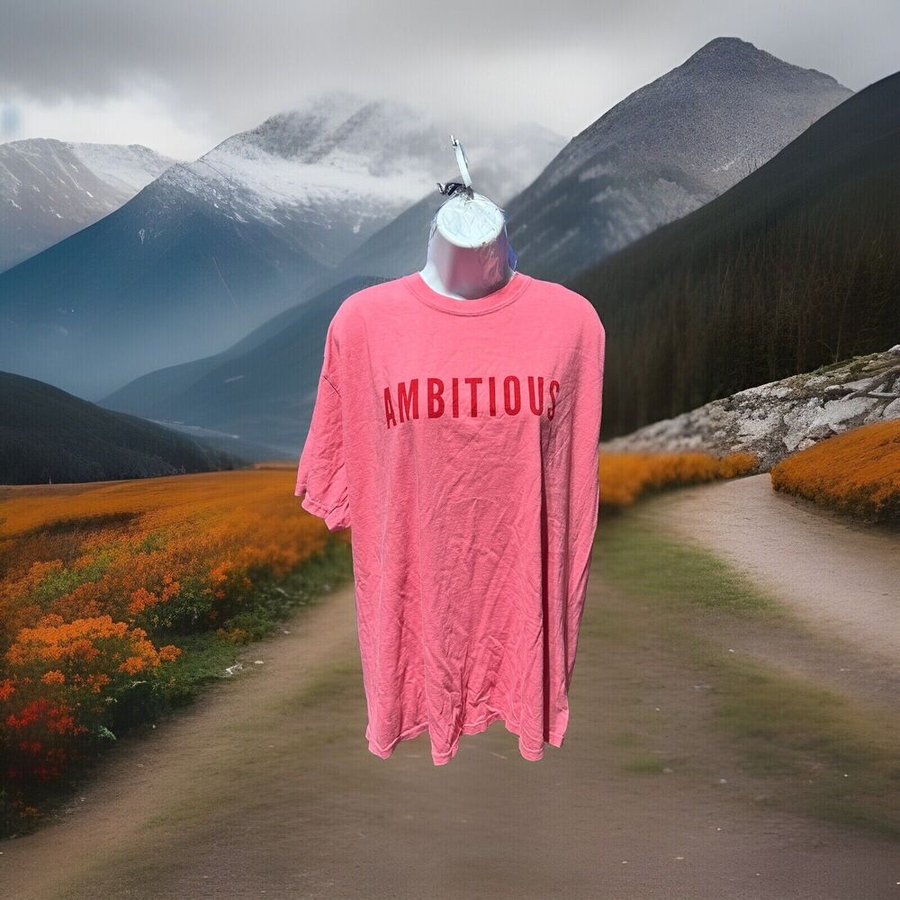Phenomenal Ambitious Print T-Shirt Adult L Pink Crew Neck Short Sleeve